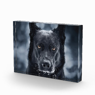 Black German Shepherd Photo Block