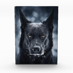 Black German Shepherd Photo Block