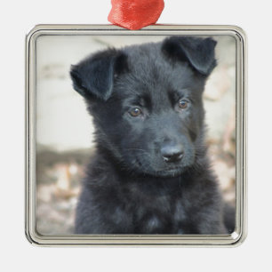 Black German Shepherd Puppy Metal Ornament