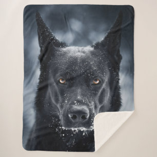 Black German Shepherd Sherpa Blanket