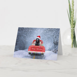 Black German Shepherd Snow sitting in Christmas Card