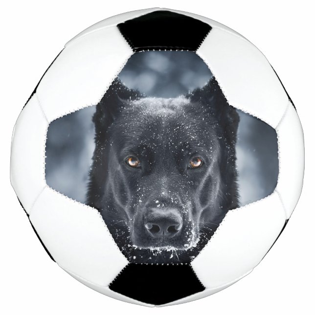 Black German Shepherd Soccer Ball (Front)