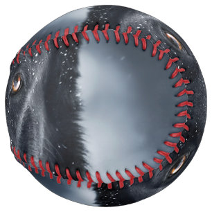 Black German Shepherd Softball