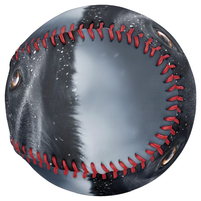 Black German Shepherd Softball (Front Right)