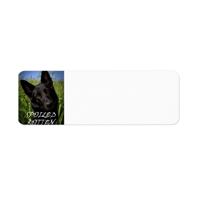 black german shepherd spoiled rotten label (Front)