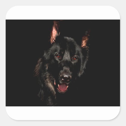 Black German Shepherd Square Sticker