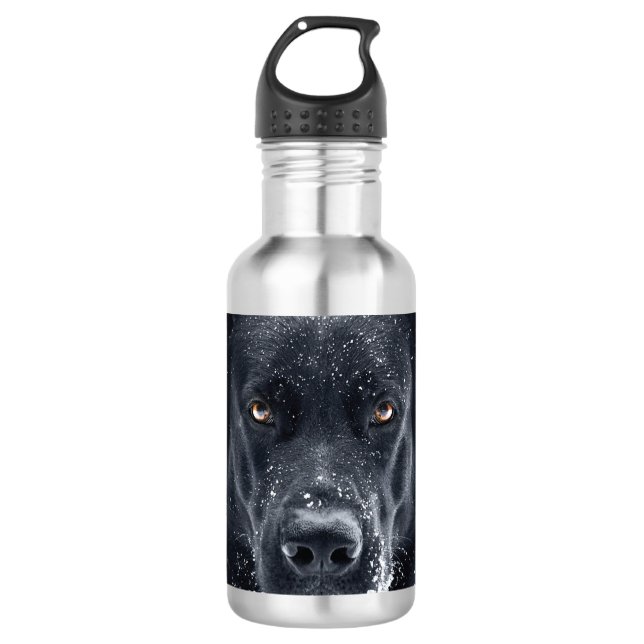 Black German Shepherd Stainless Steel Water Bottle (Front)