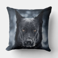 Black German Shepherd