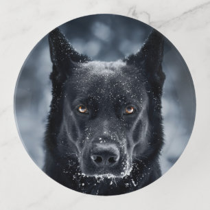 Black German Shepherd Trinket Tray