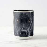 Black German Shepherd