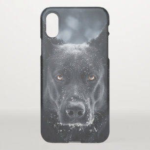Black German Shepherd iPhone XS Case