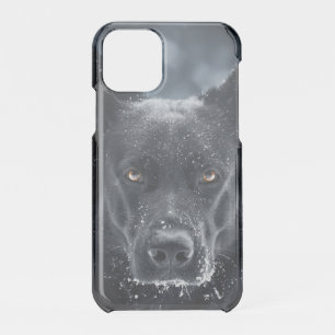 Black German Shepherd iPhone 11 Pro Case