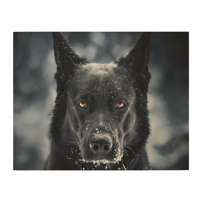 Black German Shepherd Wood Wall Art (Front)