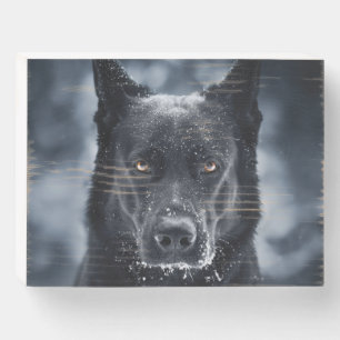 Black German Shepherd Wooden Box Sign