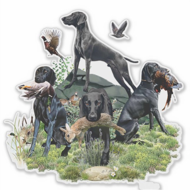 Black German Shorthaired Pointers    Sticker (Front)