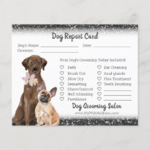 Black Glitter Dog Grooming Report Card Flyer