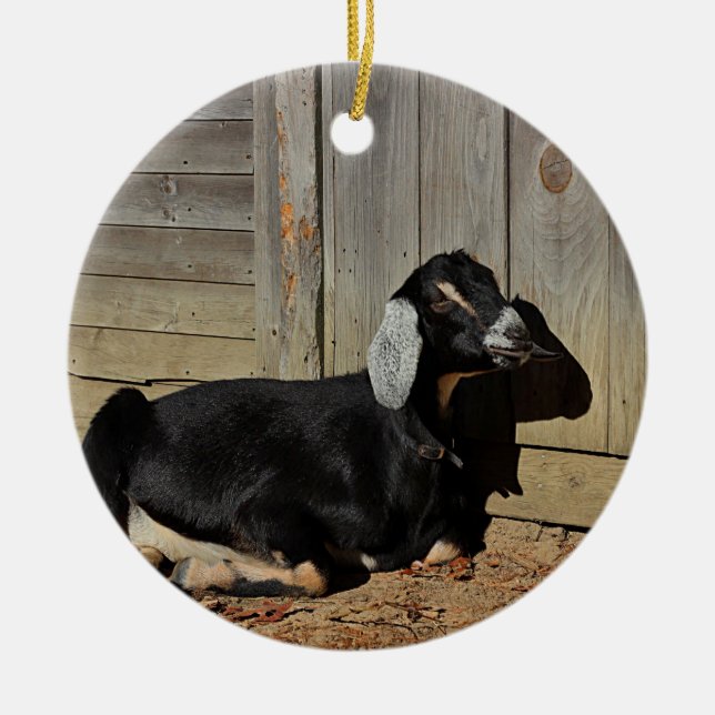 Black goat ceramic ornament (Front)