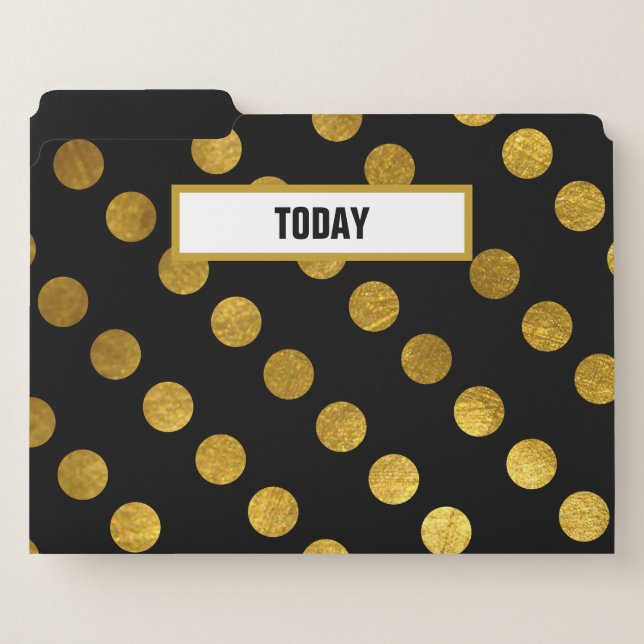 Black & Gold Patterns File Folder (Front Left)