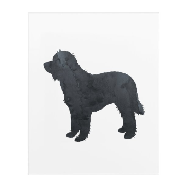 Goldendoodle Art & Wall Décor Zazzle