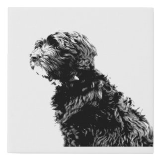 Black Goldendoodle Puppy Art Faux Canvas Print