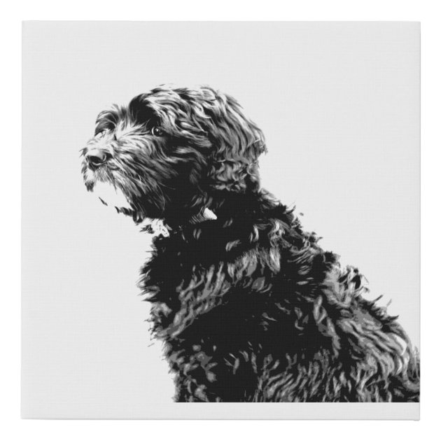 black goldendoodle art