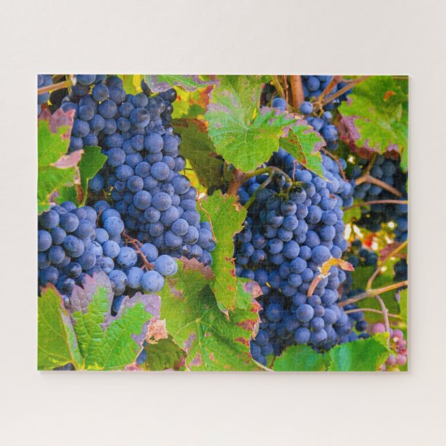 Black Grapes Vines, Vineyard  Jigsaw Puzzle (Horizontal)