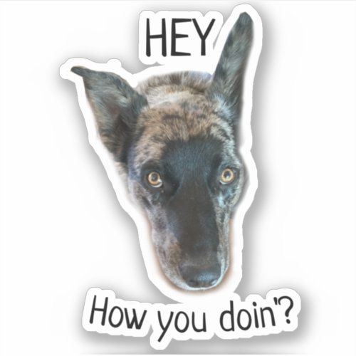 Black Gray Brindle Cattle Dog Custom