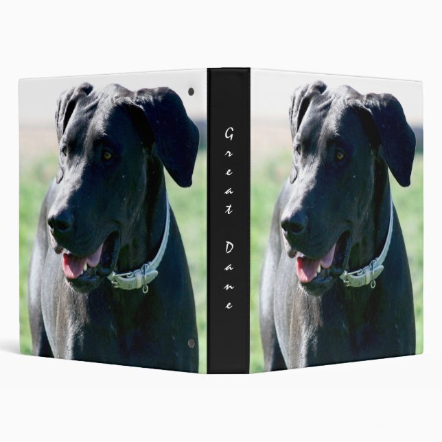 Black Great Dane Binder (Background)