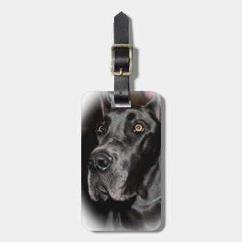 Black Great Dane Luggage Tag by JLBIMAGES at Zazzle