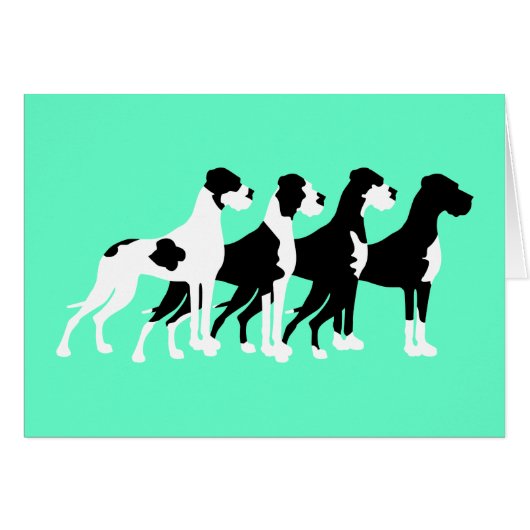 Black Great Danes (Front Horizontal)