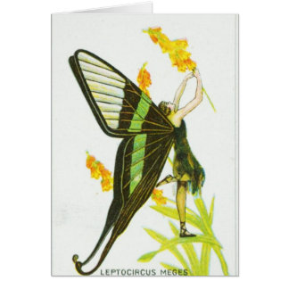 Black & Green Butterfly Girl Cards