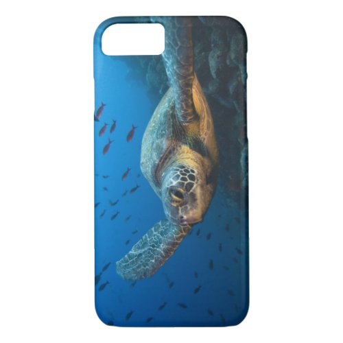 Black Green Turtle Chelonia agassizi off iPhone 87 Case