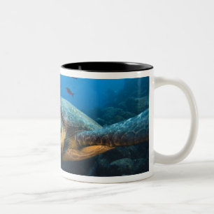 Black (Green) Turtle (Chelonia agassizi) Two-Tone Coffee Mug