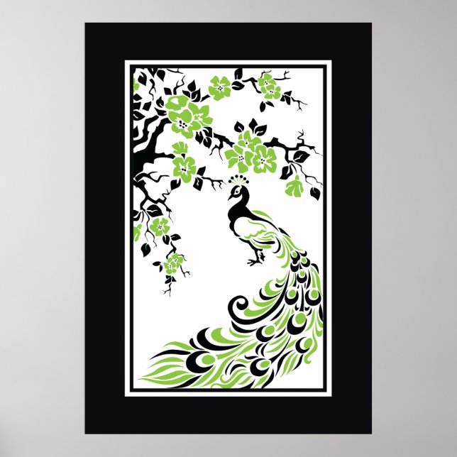 Black, green, white peacock and cherry blossoms poster (Front)