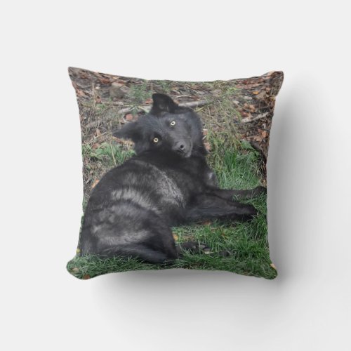 Black Grey Wolf Pup Wildlife Throw Pillow