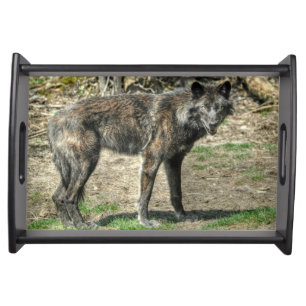 Black Grey Wolf Wildlife Nature Photo Art Serving Tray