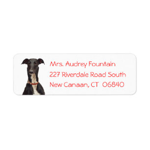 Black Greyhound Puppy Dog Red Return Address Label