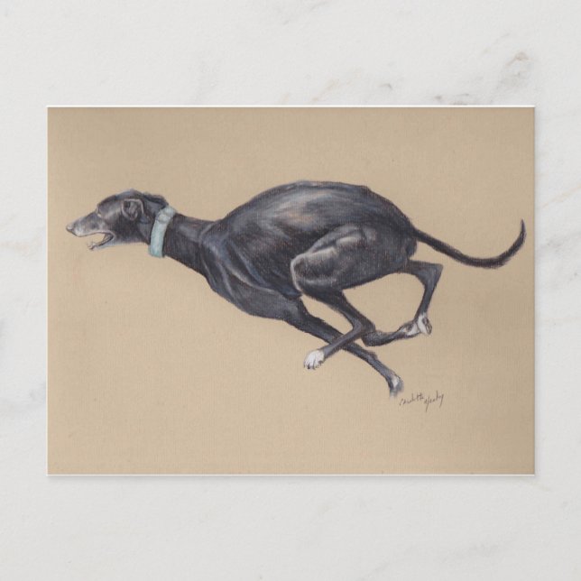 Black Greyhound Running Dog Art Postcard (Front)
