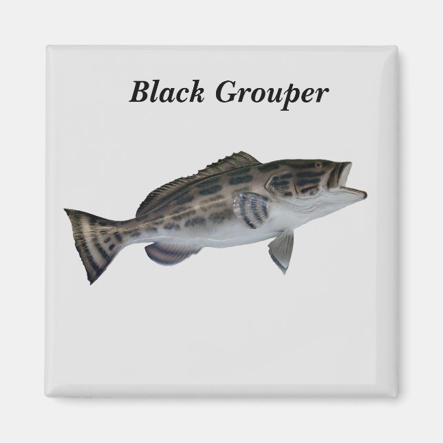 Black Grouper Fish Magnet (Front)