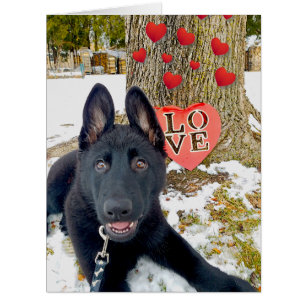 Black GSD Puppy with Hearts & Big Love Valentine Cards