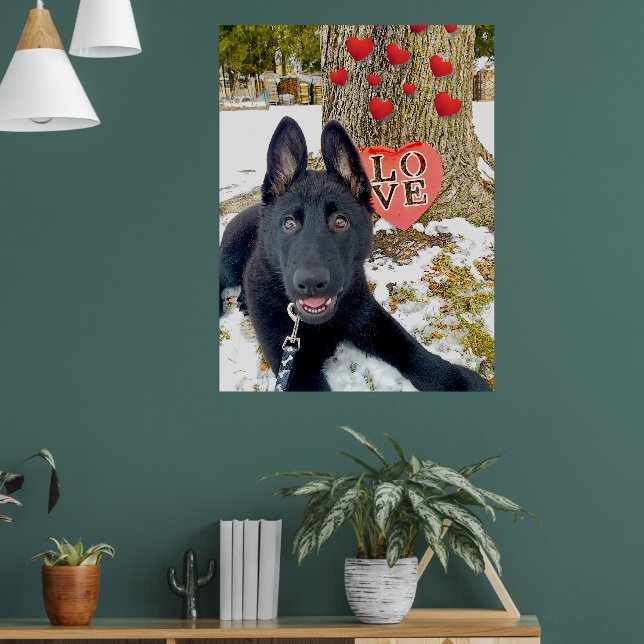 Black GSD Puppy with Hearts & Big Love Valentine Poster (Living Room 1)
