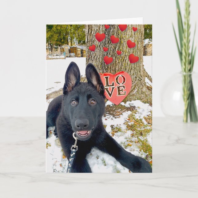 Black GSD Puppy with Hearts & Love Valentine Card (Front)