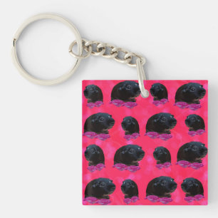 Black Guinea Pigs On Pretty Pink Roses Keychain