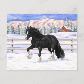 Black Gypsy Vanner Irish Cob Draft Horse In Snow