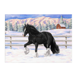 Black Gypsy Vanner Irish Cob Draft Horse In Snow Acrylic Print