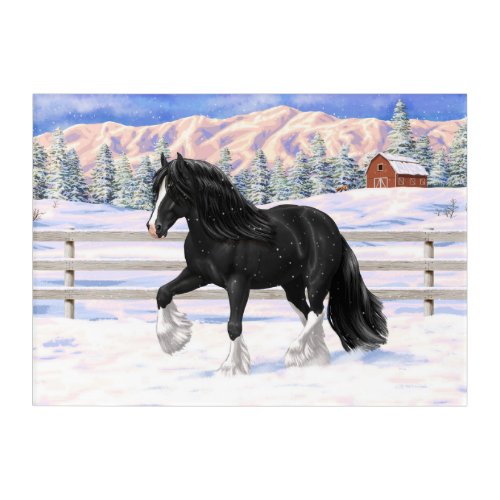 Black Gypsy Vanner Irish Cob Draft Horse In Snow Acrylic Print