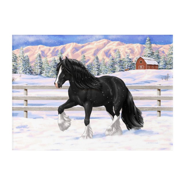 Black Gypsy Vanner Irish Cob Draft Horse In Snow Acrylic Print (Front)