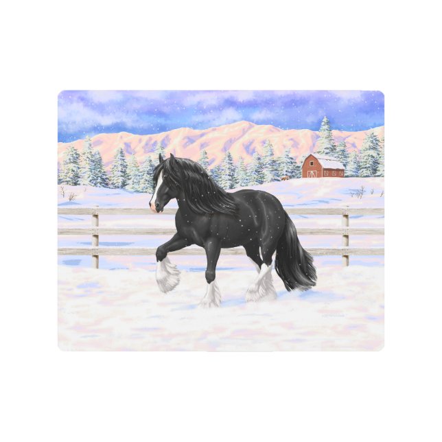 Black Gypsy Vanner Irish Cob Draft Horse In Snow Metal Print (Front)