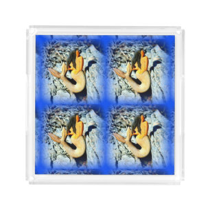 black-haired mermaids blue acrylic tray