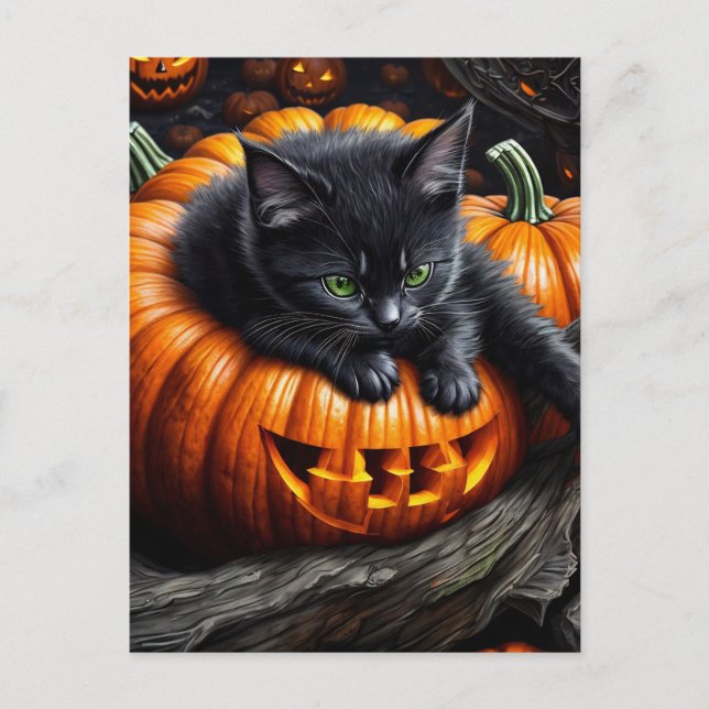 Black Halloween Kitten Postcard (Front)